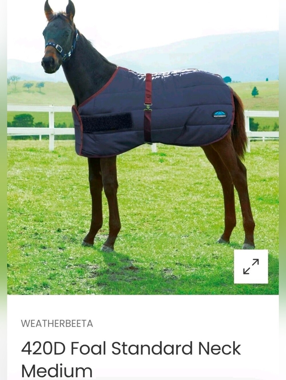 WeatherBeeta 420D Foal Standard Neck Medium Weight Blanket New